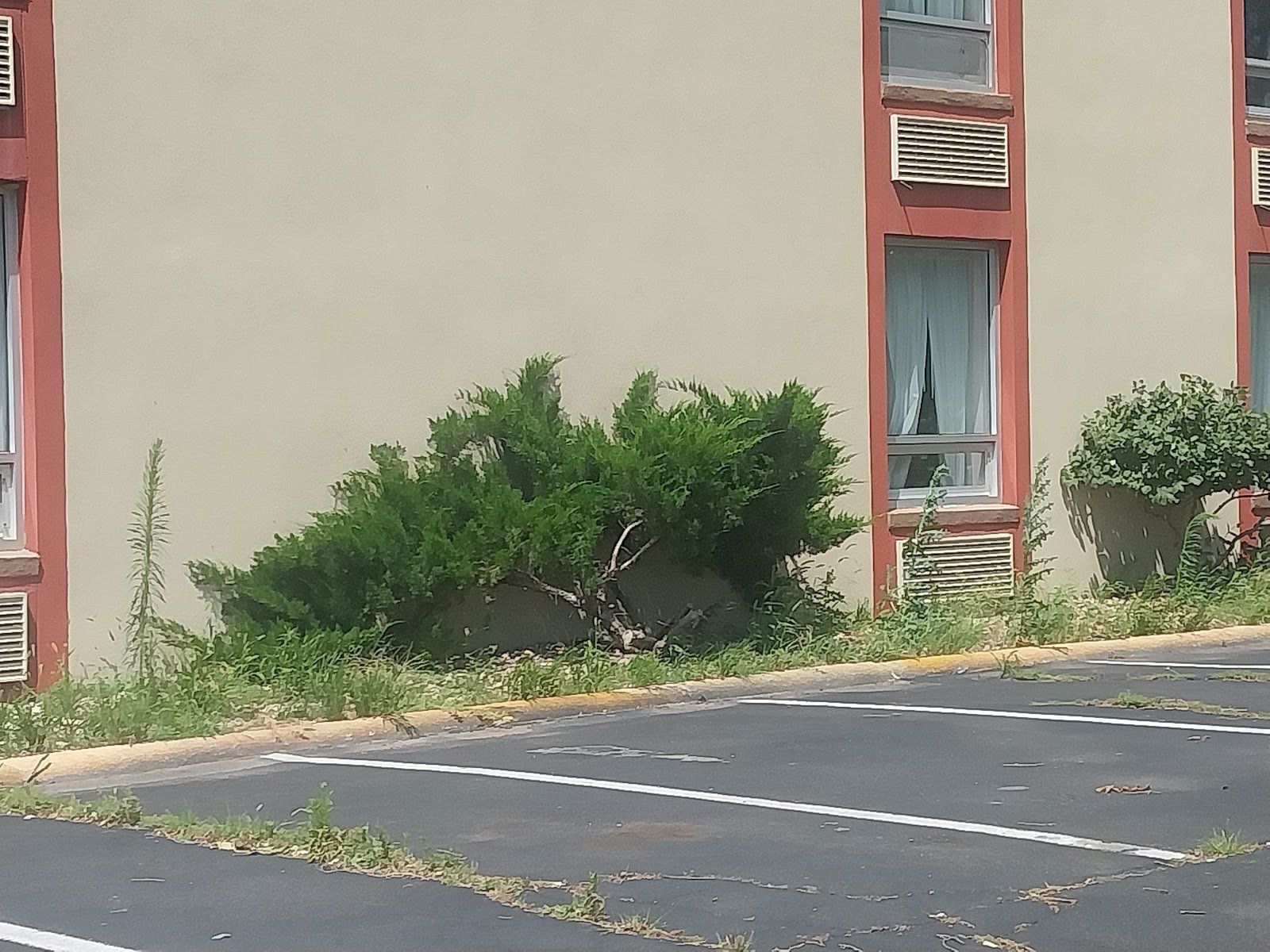 Clarion Inn & Suites and Convention Center