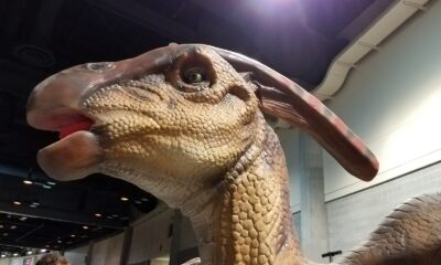 Exhibit Halls at the Spokane Convention Center