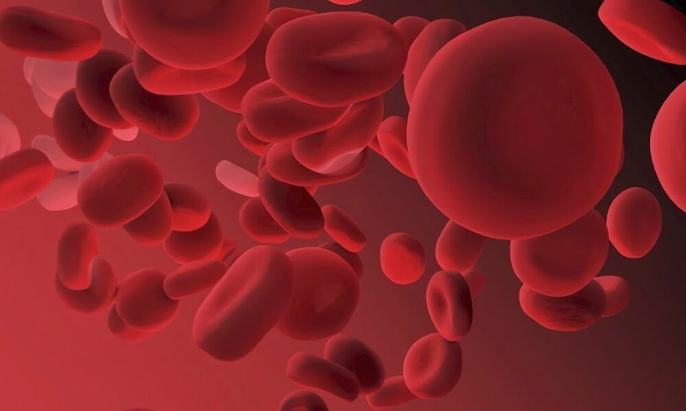 The American Society of Hematology