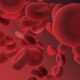 The American Society of Hematology