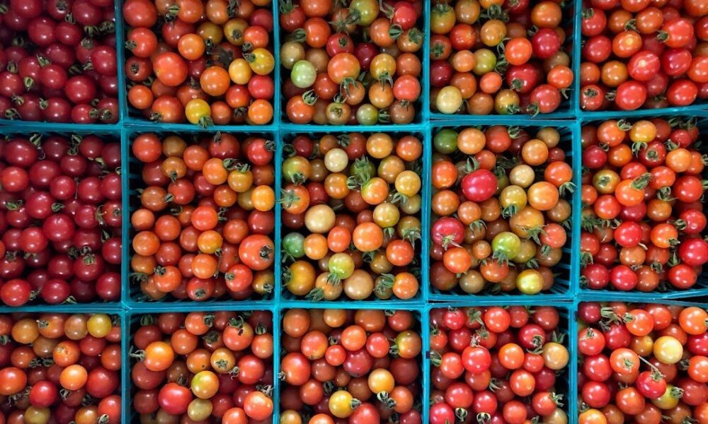 The Nashville Food Project
