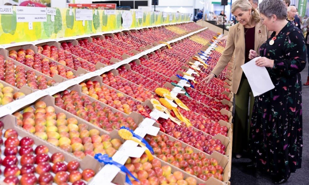 The National Fruit Show