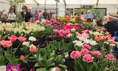 Three Counties Showground