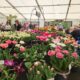 Three Counties Showground