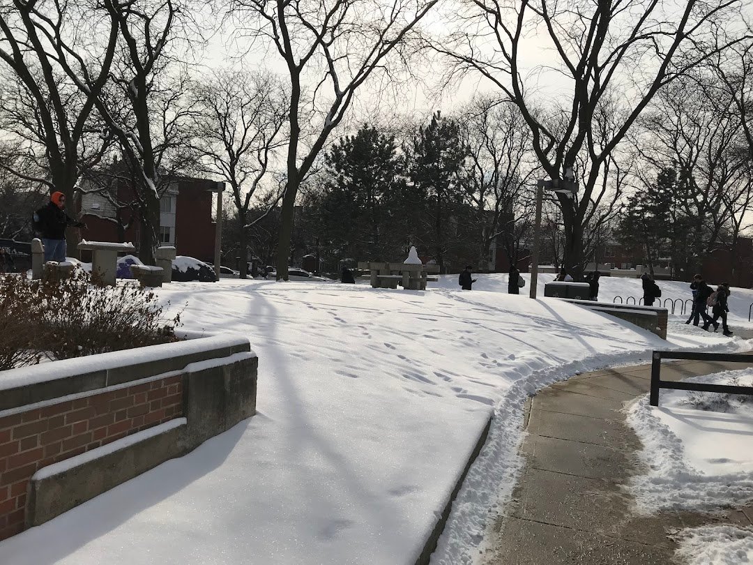 U.I.C. Behavioral Sciences Bldg (BSB)