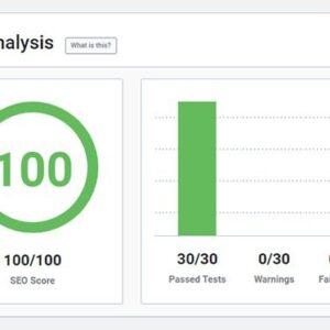 Seo Audit Report
